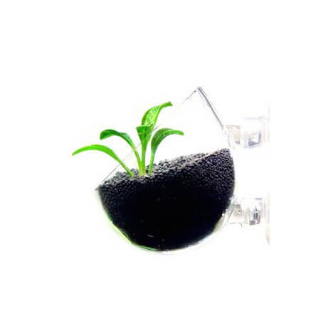Aquaplante Pod - Pot pour Plantes d'Aquarium avec Ventouses