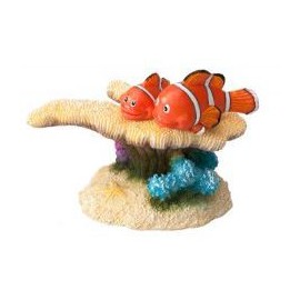 Aqua Della Clown Fish 7