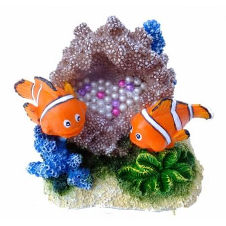 Aqua Della Clown Fish 8