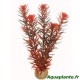 Plante artificielle Rotala sp