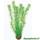 Plante artificielle Rotala Wallichii sp