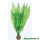 Plante artificielle Aponogeton sp
