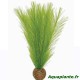 Plante Artificielle Myriophyllum sp