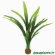 Plante Artificielle sp 30cm