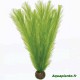 Plante Artificielle Myriophyllum sp