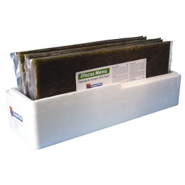 Larves de moustiques blanches Plaque 500gr