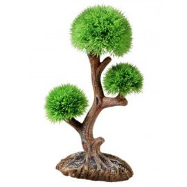 Hobby Aqua Tree 3