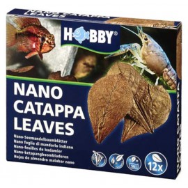 Nano Catappa Leaves 12 St., SB
