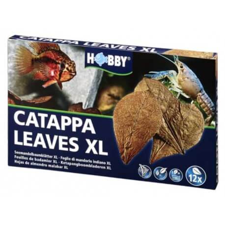Catappa Leaves XL 12 St., SB