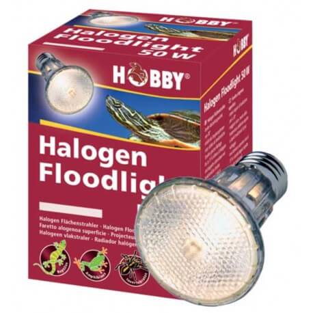 Halogen Floodlight 50 W
