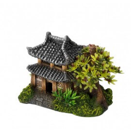 AQUA DELLA ASIAN HOUSE ca.14x9x10cm/with plants