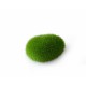 AQUA DELLA MOSS BALL-SMALL- ca.6x4,5x3,5cm