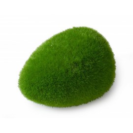 AQUA DELLA MOSS BALL -LARGE- ca.11,5x9x6cm