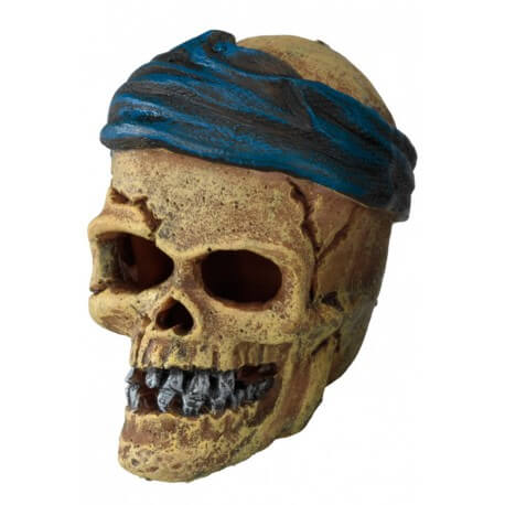 AQUA DELLA PIRATE SKULL HEAD-CRACK ca.7,2x6x7,8cm