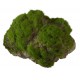 AQUA DELLA MOSS STONE -L- ca.17x11x13,5cm with suction cup