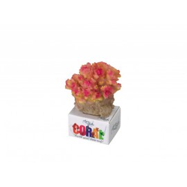 AQUA DELLA CORAL-MODULE -SM- POCILLOPORA YELLOW/ca. 8x6,5x7,5cm