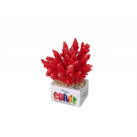 AQUA DELLA CORAL-MODULE -ML- ACROPORA RED/ca. 11,5x10,5x9cm