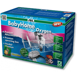 BABY HOME Oxygen JBL