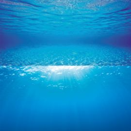 Poster 2 XL  150x60cm  JUWEL