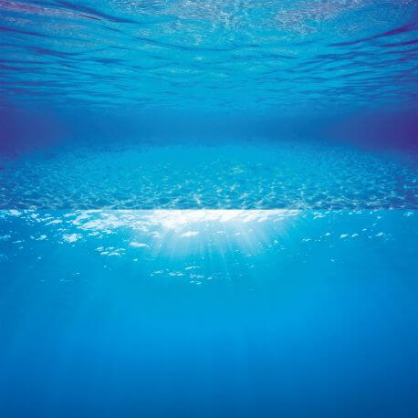 Poster 2 XL  150x60cm  JUWEL
