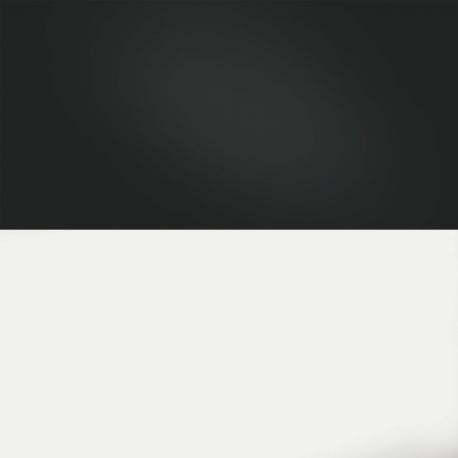 Poster 3 XL black & white 150x60cm  JUWEL