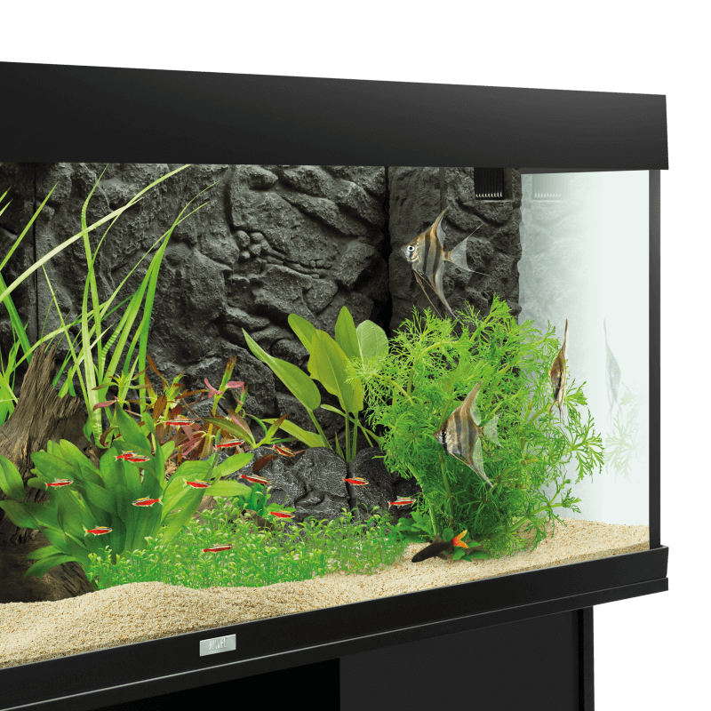 Fonds Résinés pour aquarium > Fond Arrière Stone Granite Juwel pour