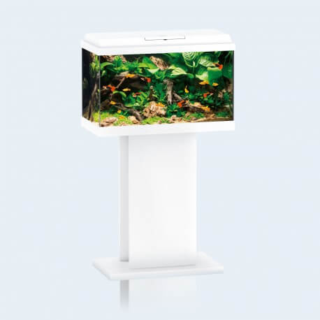 Aquarium Juwel Primo 70 LED Blanc