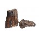 Fossilized Wood S (5 à 10cm)