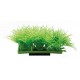 Hobby Plant Pad 2 7 x 4,5 x 4 cm