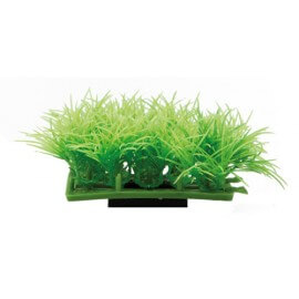 Hobby Plant Pad 2 7 x 4,5 x 4 cm