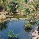 JBL FilterStart Pond 250g