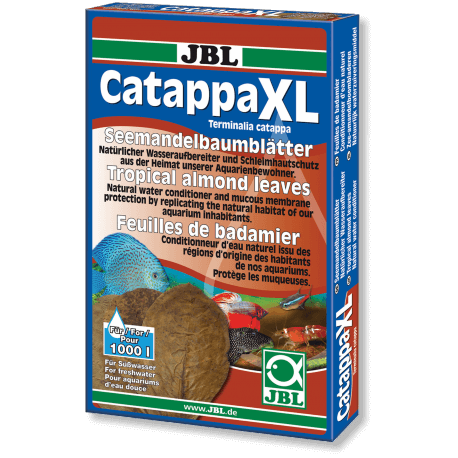 JBL CATAPPA XL feuille de badamier