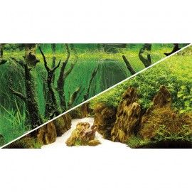 Poster 120X50 Canyon / Woodland