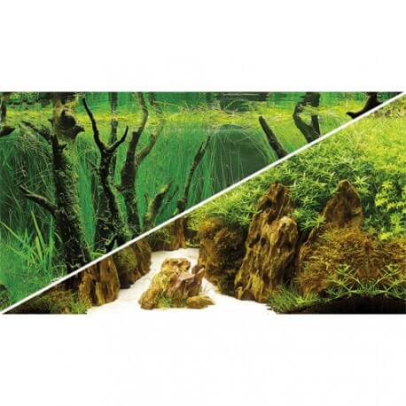 Poster 120X50 Canyon / Woodland