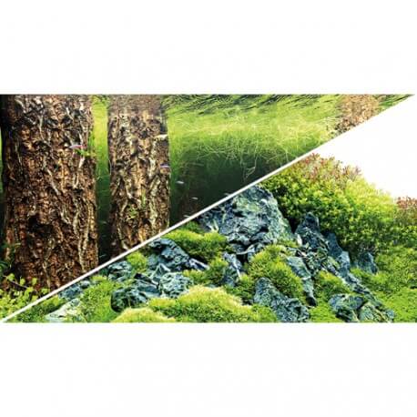 Poster 30X60 Scaper's Hill / Scaper's Forest