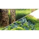 Poster 120X50 SCAPER'S HILL / SCAPER'S FOREST