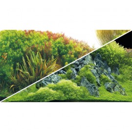 Hobby Poster Planted River / Green Rocks 100X50cm
