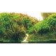 Hobby Poster Planted River / Green Rocks 120X50cm