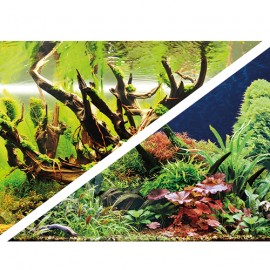 Hobby Poster Green Secret / Wood Island 30X60cm