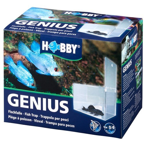 Lot De 3 Appâts Naturels Puissants Pour Poissons – Attractant Ultra Efficace Toutes Espèces Eau Douce & Mer