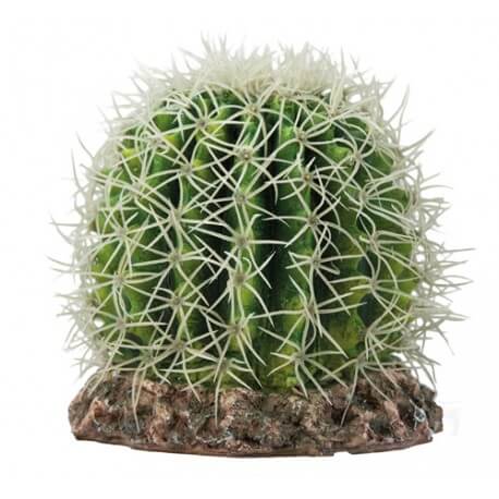 Hobby Cactus Sonora M 15x15x13cm