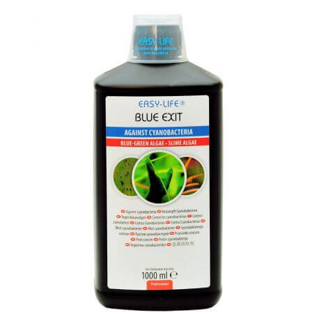 Blue Exit 1L