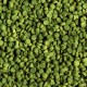 SERA Malawi Granules100ml