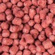 sera KOI sticks energy plus 5Kg