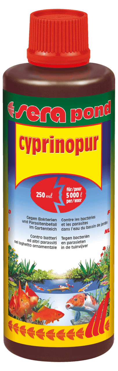 Sera Pond Omnipur S Conditionneur Eau Bassin 5000 Ml | Traitement Maladies Poissons | Anti-Parasites