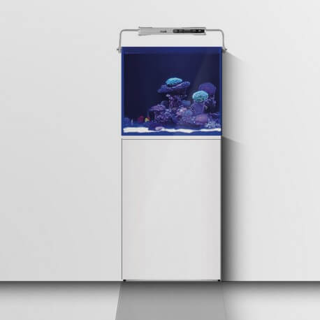 aquarium systems l aquarium