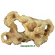 Cavity Stone 4