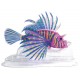 SUPERFISH FLUO TETE DE LION ROSE