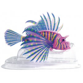 SUPERFISH FLUO TETE DE LION ROSE