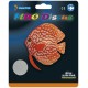 Superfish FLUO DISCUS